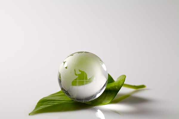 �̹�������